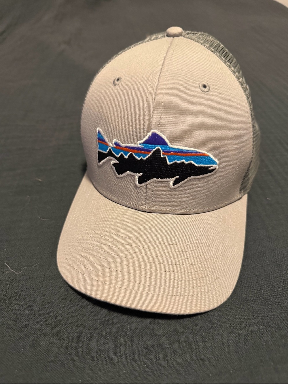Patagonia Trout Trucker Hat